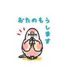 アキクサインコLINEスタンプ4（個別スタンプ：14）