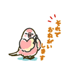 アキクサインコLINEスタンプ4（個別スタンプ：16）