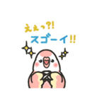 アキクサインコLINEスタンプ4（個別スタンプ：17）