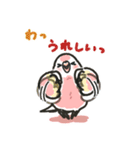 アキクサインコLINEスタンプ4（個別スタンプ：21）