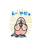 アキクサインコLINEスタンプ4（個別スタンプ：23）