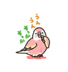 アキクサインコLINEスタンプ4（個別スタンプ：26）