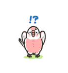 アキクサインコLINEスタンプ4（個別スタンプ：30）