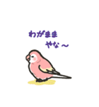 アキクサインコLINEスタンプ4（個別スタンプ：32）