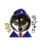 黒柴ホタルの日常（個別スタンプ：10）