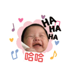 董董日記（個別スタンプ：7）
