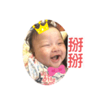 董董日記（個別スタンプ：36）