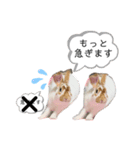 ミニレッキスのだいふくちゃん3（個別スタンプ：10）