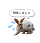 ミニレッキスのだいふくちゃん3（個別スタンプ：11）