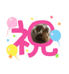 ミニレッキスのだいふくちゃん3（個別スタンプ：12）