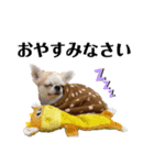 シエル＆ベティ（個別スタンプ：5）