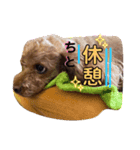 すずこと一緒（個別スタンプ：1）