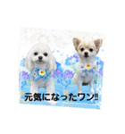 LUNA＆SEA～夏休み（個別スタンプ：1）