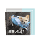 LUNA＆SEA～夏休み（個別スタンプ：7）