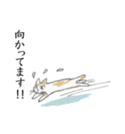 高校古文こういう話 動物編（個別スタンプ：34）