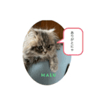 MALUのまったりライフ4（個別スタンプ：4）