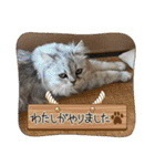 3匹の猫太郎ぉぉぉぉ（個別スタンプ：18）