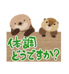 ラッコとビーバー（個別スタンプ：21）