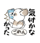 シーズー犬 『心配性ちゃん』（個別スタンプ：22）