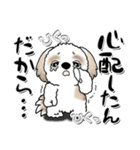 シーズー犬 『心配性ちゃん』（個別スタンプ：24）