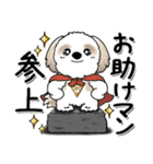 シーズー犬 『心配性ちゃん』（個別スタンプ：33）