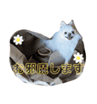 ポメチワふうた3（個別スタンプ：30）