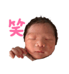 凱心くんスタンプ（個別スタンプ：1）