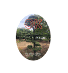 出席番号15番 境（個別スタンプ：2）