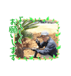 出席番号15番 境（個別スタンプ：4）