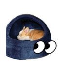 コーギースタンプ(ペコちゃん)（個別スタンプ：35）
