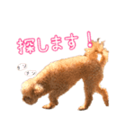 イヌッコ日常スタンプ（個別スタンプ：12）
