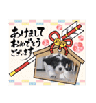 プチバセ40ラブリーな毎日♡スタンプAile（個別スタンプ：39）