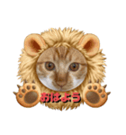 はり猫6（個別スタンプ：2）