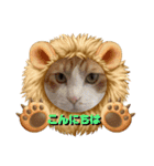 はり猫6（個別スタンプ：5）