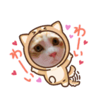 はり猫6（個別スタンプ：6）