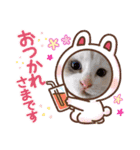 はり猫6（個別スタンプ：7）