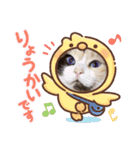 はり猫6（個別スタンプ：8）