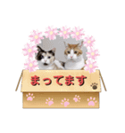 はり猫6（個別スタンプ：12）