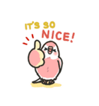 アキクサインコLINEスタンプ4 英語版（個別スタンプ：9）