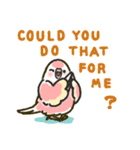 アキクサインコLINEスタンプ4 英語版（個別スタンプ：16）