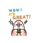 アキクサインコLINEスタンプ4 英語版（個別スタンプ：17）