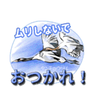 小鳥からの大人のご挨拶（個別スタンプ：8）