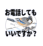 小鳥からの大人のご挨拶（個別スタンプ：13）