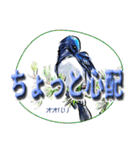 小鳥からの大人のご挨拶（個別スタンプ：27）