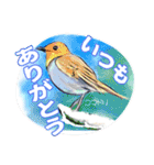 小鳥からの大人のご挨拶（個別スタンプ：39）