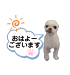 ビビスタンプver3（個別スタンプ：1）