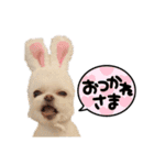 ビビスタンプver3（個別スタンプ：2）