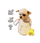 ビビスタンプver3（個別スタンプ：33）