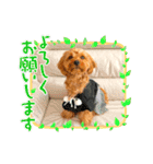 ラキスタンプ2023ver.（個別スタンプ：1）