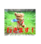 ラキスタンプ2023ver.（個別スタンプ：2）
